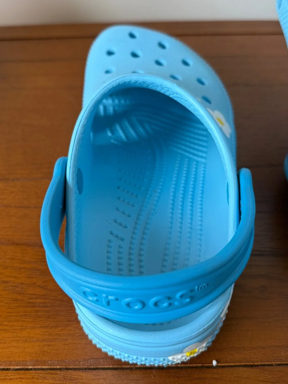 CROCS Kids Light Blue Clogs with Flower Jibbitz
